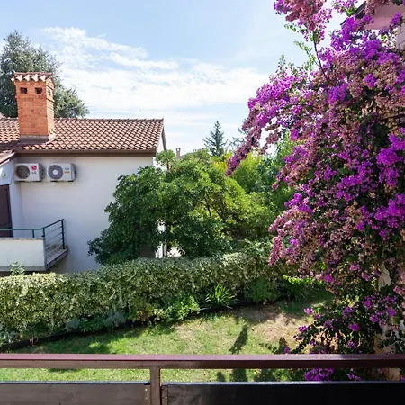 Pjescana Uvala 7349a Apartment Pula